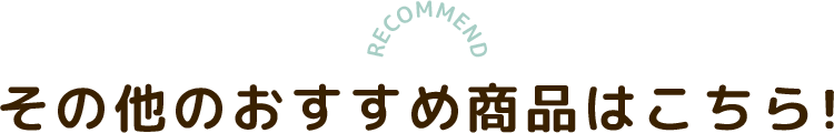 その他のおすすめ商品はこちら！